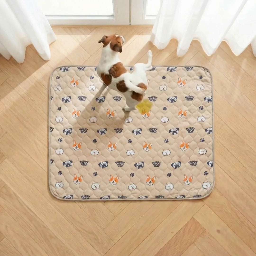 Reusable Pet Training Pads | Washable Dog Pee Mat